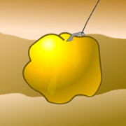 Gold Miner for Watch