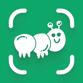 Caterpillar Identifier & ID