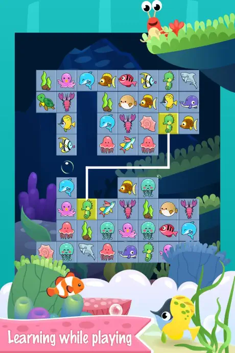 Onet Animal Ocean