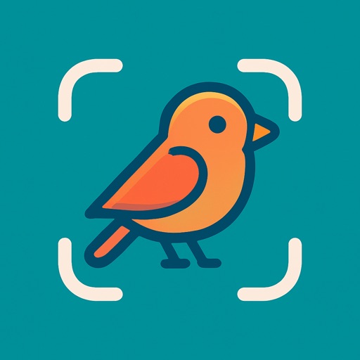 Bird Identifier: Cikcik