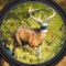 Hunt the Wild Animals with SlowMotion Bullet and Arrows