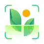 MyPlant: Plant Identifier