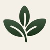 Verda: Home Remedies icon