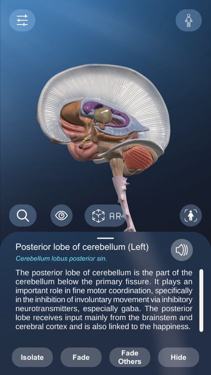 AR Anatomy screenshot-3