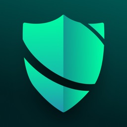 VPN Privacy Shield