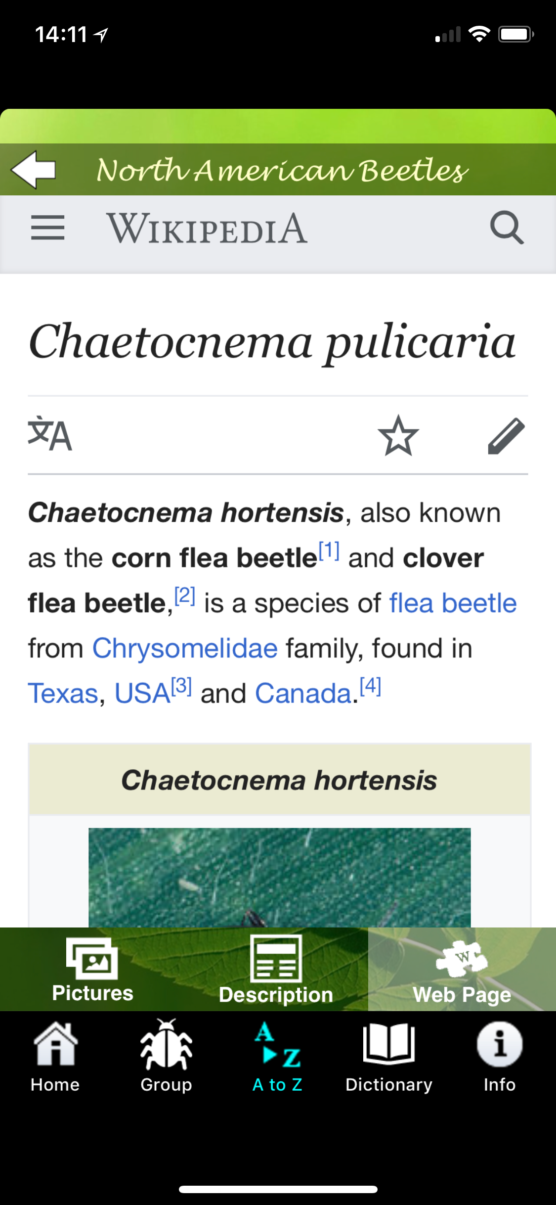 North American Beetles screenshot 7
