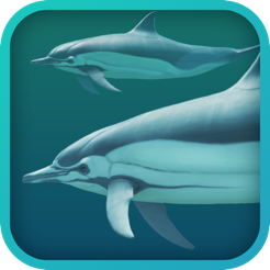 ‎Dolphins 3D