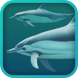 Dolphins 3D app icon