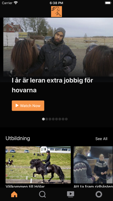 Screenshot #1 pour Töltriding