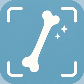 Bone Identifier: AI Scan