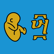 Ethiopian Pregnancy Calendar
