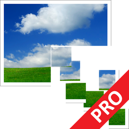 Pixillion Plus app icon