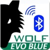 WolfEvoBlue icon