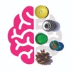 THINGS LAB icon