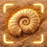 Identificatore fossili - Icona app