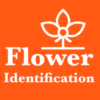 Flower Identification and Garden