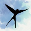 WingMate Companion icon