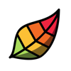 Adult Colouring Book - Pigment - Pixite Inc.