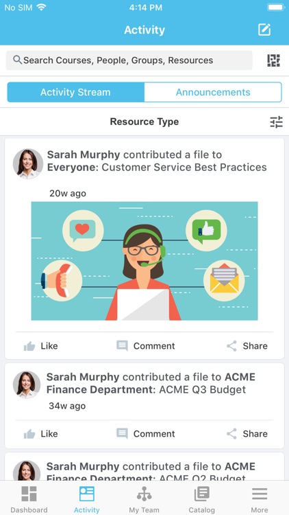 Cornerstone Saba-VEMS