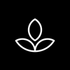 Emphasis: Flow & Focus Timer - Aleksandr Fiodorov