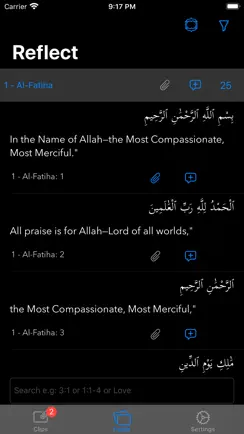 QuranReflect iPhone image 2