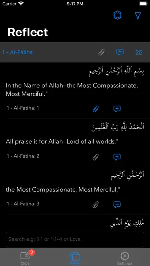 Скриншот QuranReflect на iPhone 2