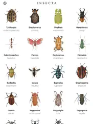 insecta - study insects in ar ipad resimleri 1