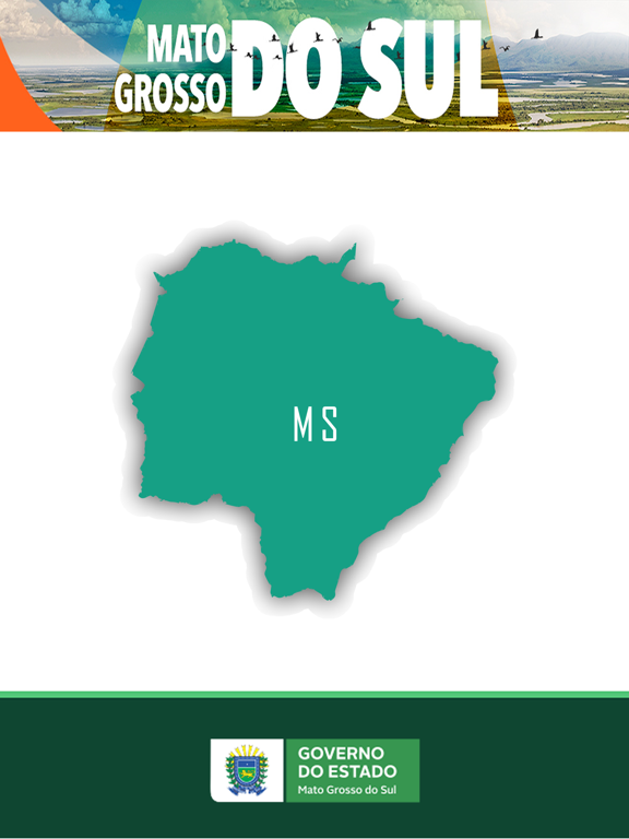 Screenshot #5 pour DETRAN MS