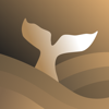 Sibyl AI - Spiritechs LLc