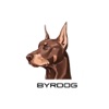 BYRDOG • Орша icon