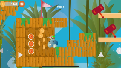 Silent Valley Adventure Screenshot