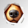 BoopPrint icon