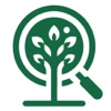 Forest Tree Identification icon