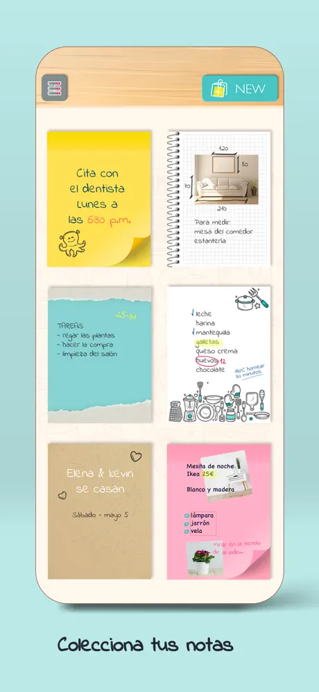 Bloc de  Notas – apuntar ideas