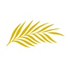 Cineasterna icon