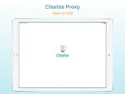 charles proxy айпад изображения 1