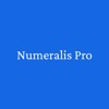 Numeralis Pro icon