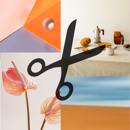 Image Splitter - Crop & Save