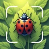 Insect Identifier: Bugs ID - iPhoneアプリ