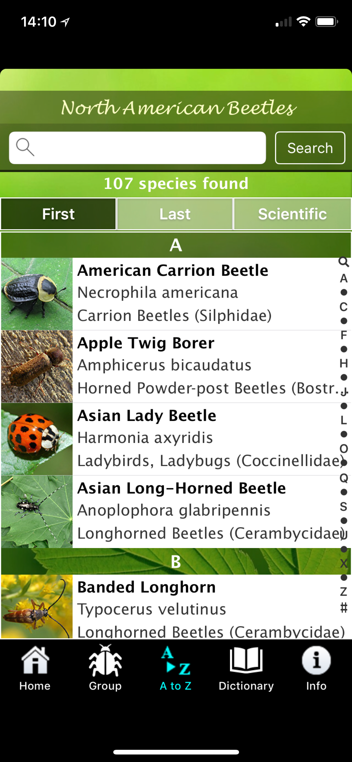 North American Beetles screenshot 2