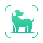 狗狗犬种识别 - 狗狗识别