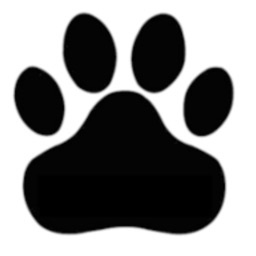 Scottish SPCA Volunteering