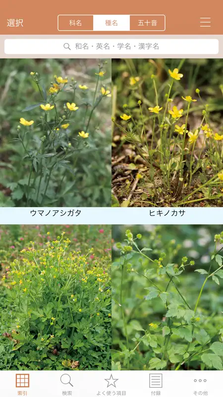 野に咲く花（山溪ハンディ図鑑） screenshot 2 of 5
