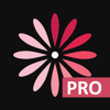 WomanLog Pro 日曆 - Pro Active App