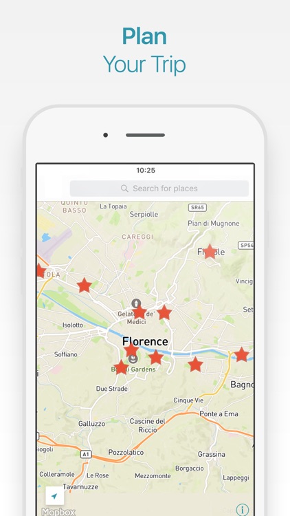 Florence Travel Guide & AI