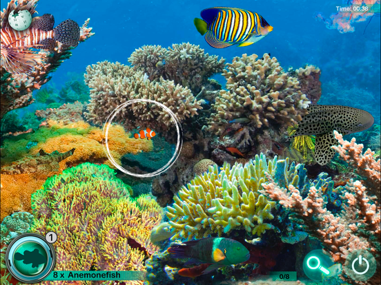 Hidden Animals: Seek and Find iPad screenshot 3 - Games app