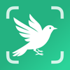 BirdScope: Bird Identifier - Unchained Mind