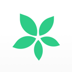 TimeTree: Shared Calendar на пк