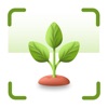 Plant Identifier: AI Expert icon