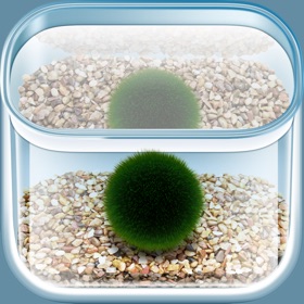 螢幕擷取畫面 (3) The Marimo